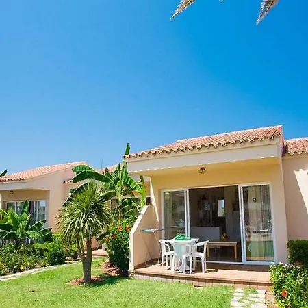 Palmeras